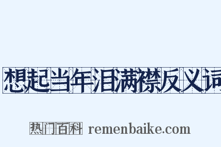 想起当年泪满襟反义词是什么意思的图片